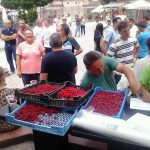 Protesti malinara – kako naterati Vučića da poklekne?