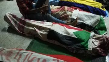 e557dd1b73064a6b91d812a0fac26f86_w720_h720