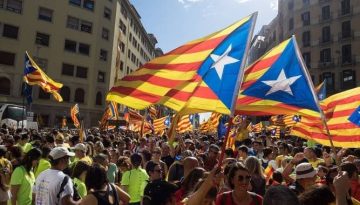 72577203_546126006148020_1429603040117129216_n