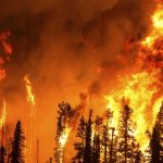 Katastrofa klimatskih promjena i super profiti: prave brige vladajuće klase