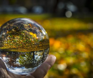 crystal-ball-and-autumn-1478526301v7Q