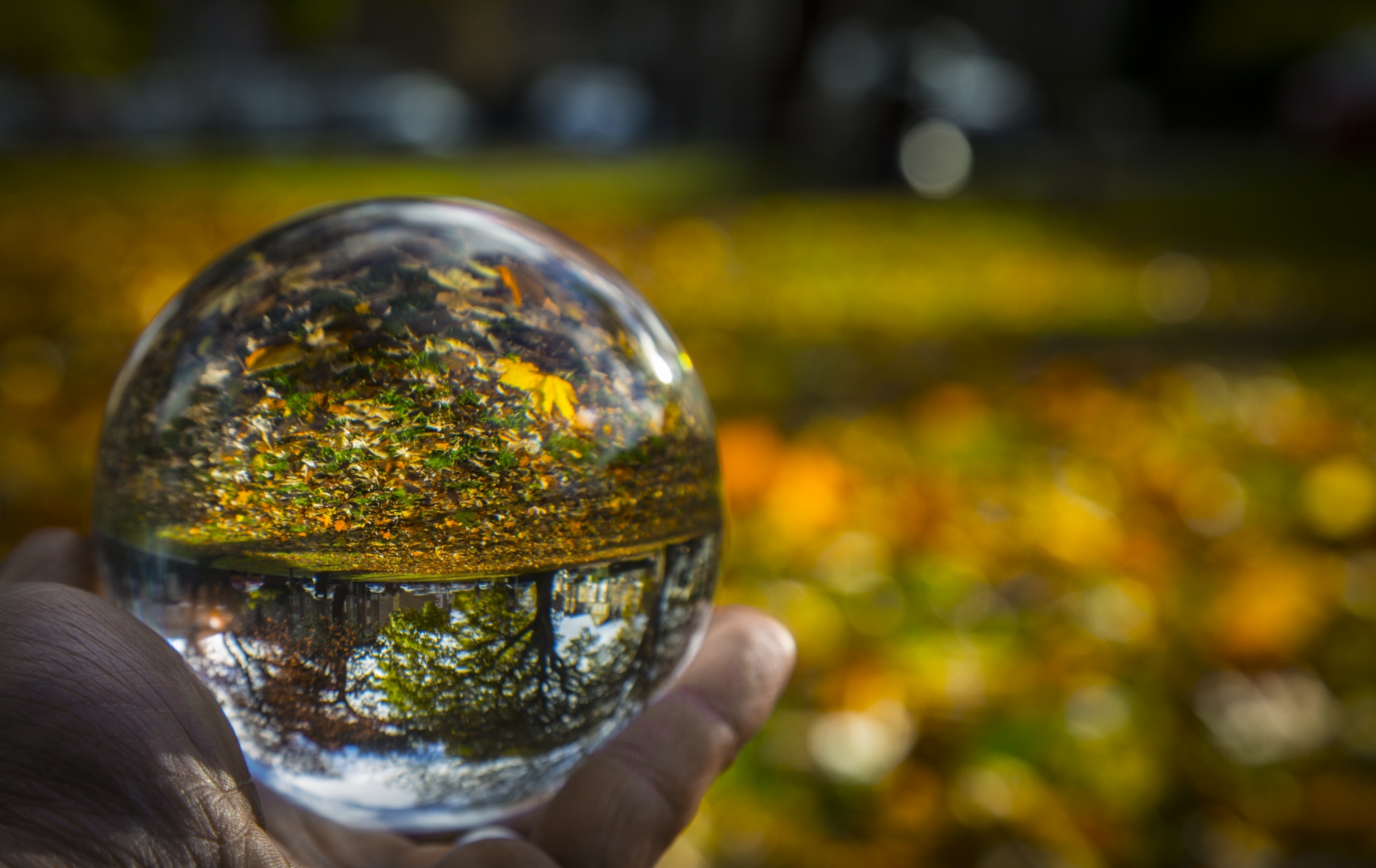 crystal ball and autumn 1478526301v7Q