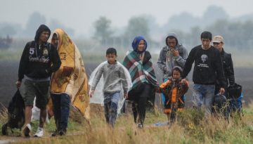 363466_profimedia-0948048684_s