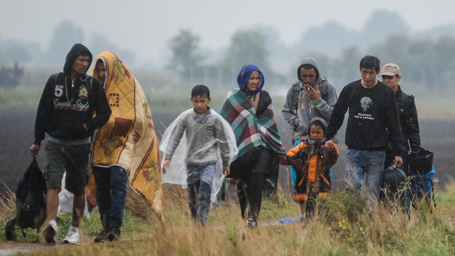 363466 profimedia 0948048684 s