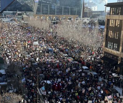 mn_Image_anemicpolitik_Reddit