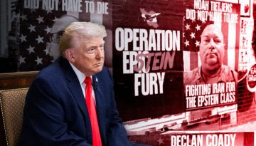 epstein_fury_Image_own_work